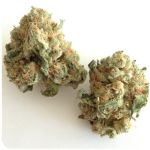 Шишки "White Widow"  (Белая вдова)  Гидропоника -  Бошка VHQ в Галиче
