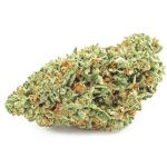 Шишки OG Kush  (Гидропоника, бошки) VHQ в Галиче